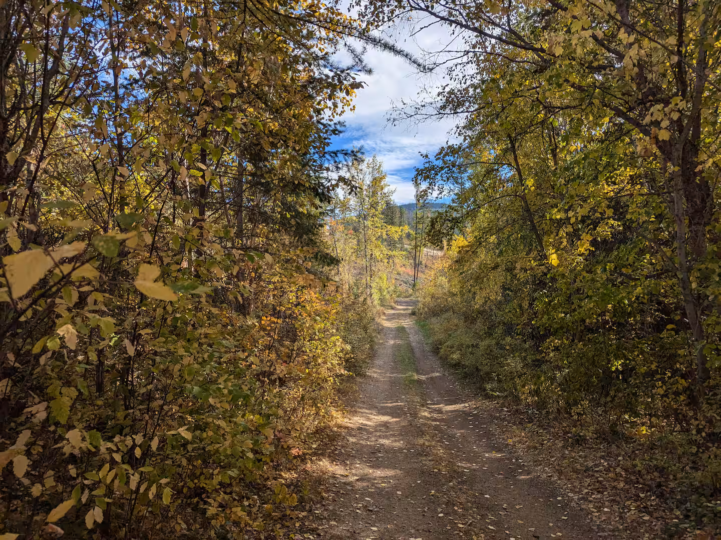 Roadway down property - Final approach to dome clearing
